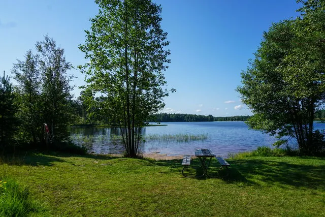 Omgivet af Natur